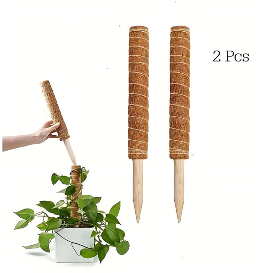 A pair of coir moss poles with one shown being inserted into a potted plant for support