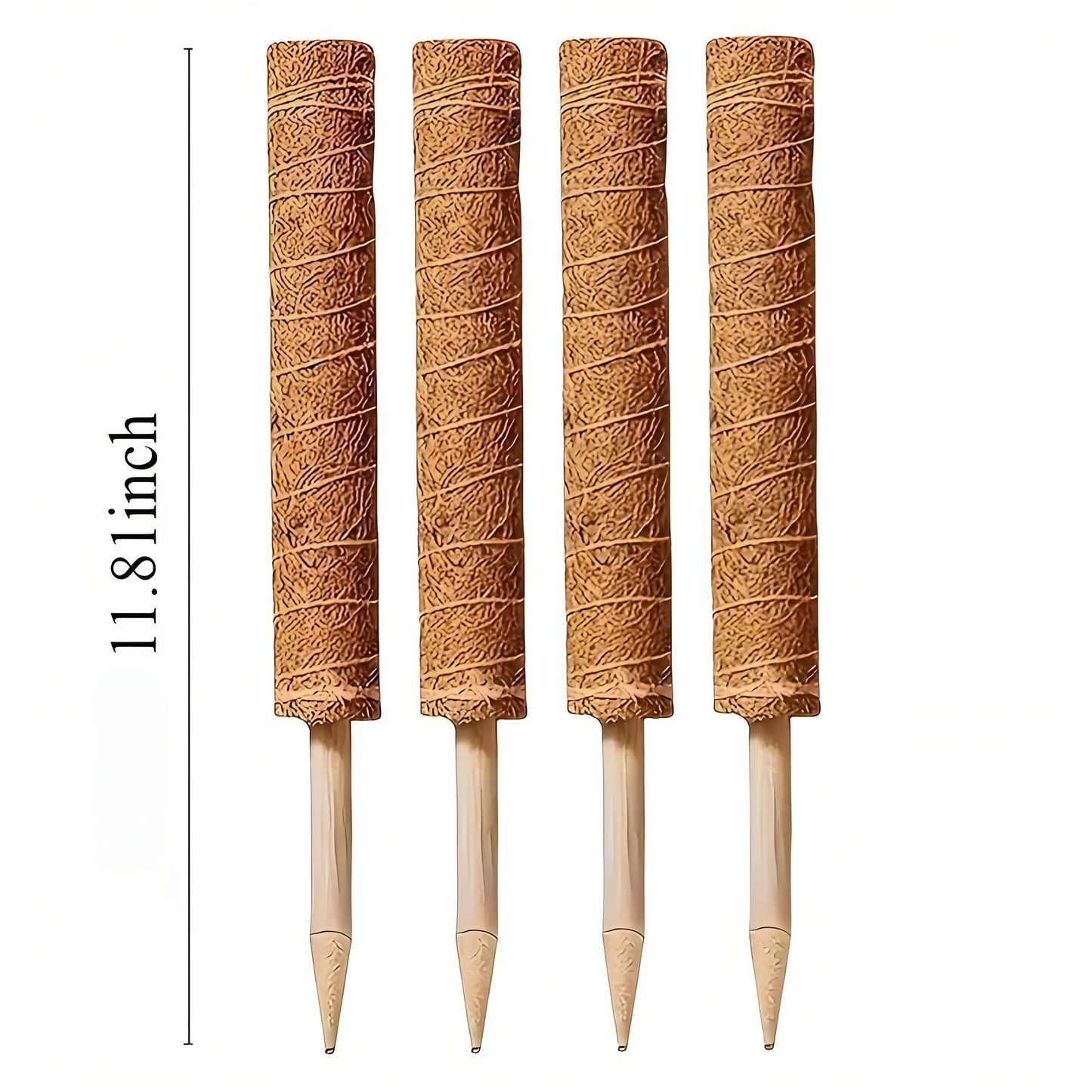 Four coir moss poles, each measuring 11.8 inches in height, arranged side by side for plant support.