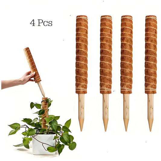 A set of four coir moss poles designed for supporting climbing plants, with one being inserted into a potted plant for demonstration.