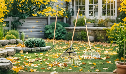 A picturesque garden scene in autumn, featuring three leaf rakes with wooden handles standing upright on a grassy lawn covered with fallen yellow leaves.